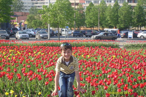 Элгуджа Чаргазия