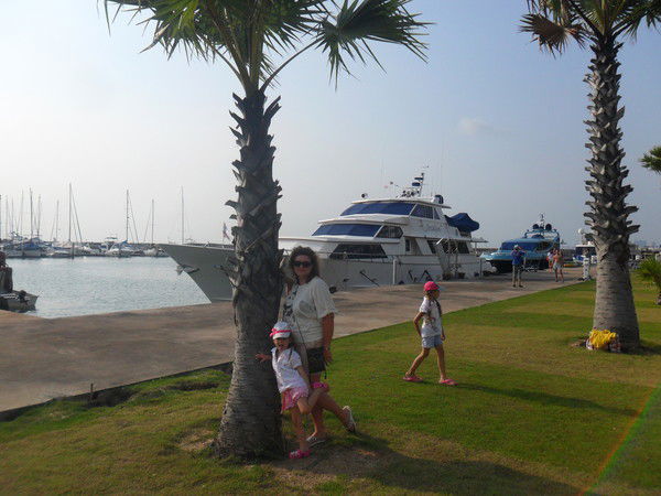 Елена Щурова