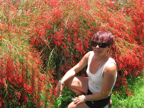 Елена Агалец