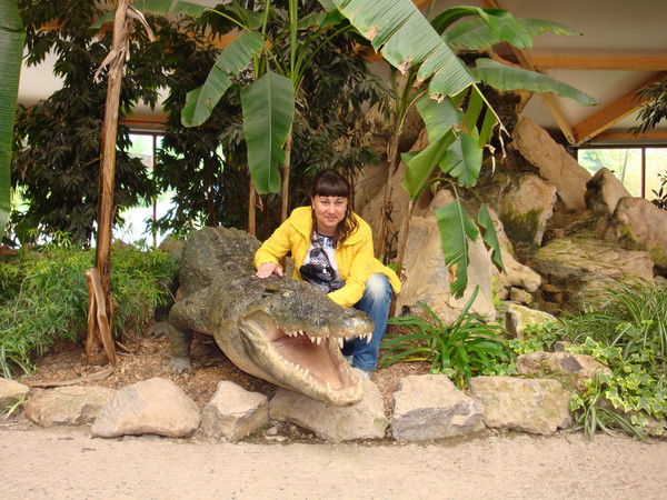 Елена Шайбель