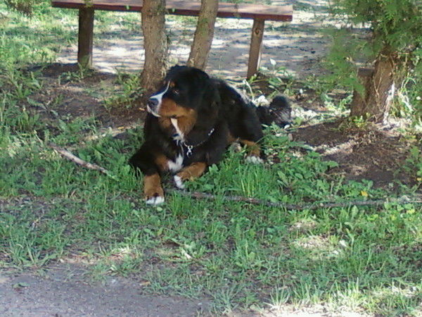 Лиза Симокайтите