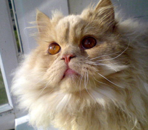 Вадим Максимв