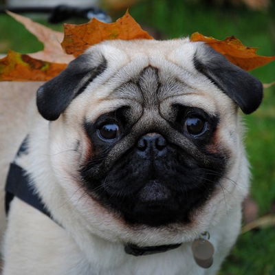 Никита Сергеев