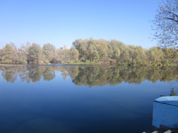 Nadezhda Надежда