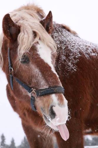 Ксюша Абросимова