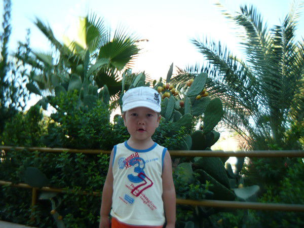 Болат Копбаев