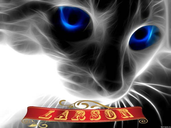 !!!larson!!!(Л) Андрей Николаев