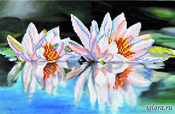 Светлана Кварталова