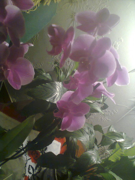 Оксана Гераймович