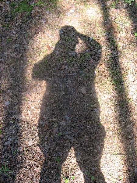 Данила Протасов