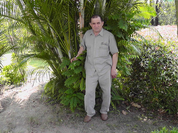 Александр Ливерко