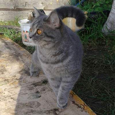 Сергей Рычихин