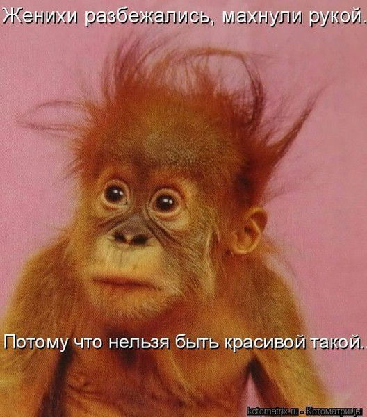 Анна Шаталова