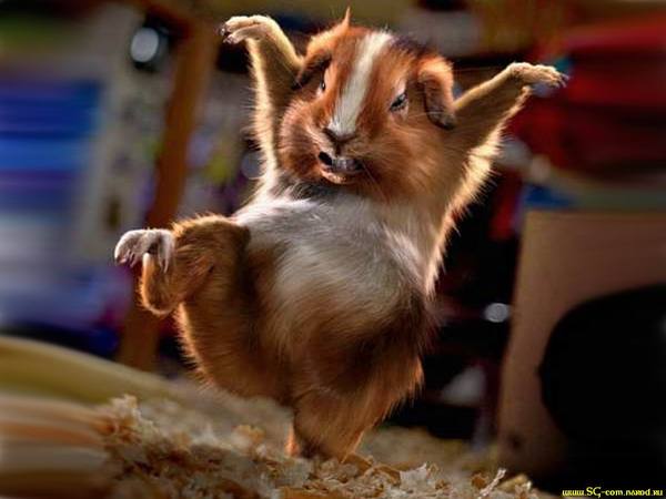 Роман Леонов