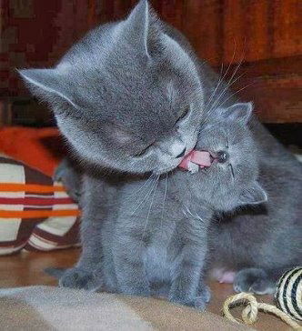 Юлия Исниязова