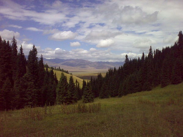 Михаил Русин