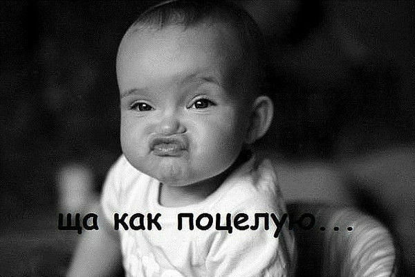 _Hyptijlek_ _Mamaeb_