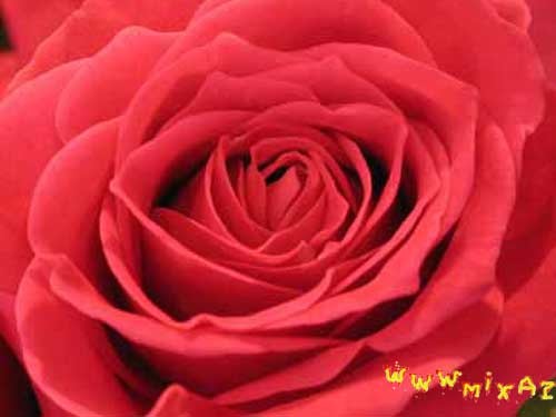 Майгуль Солдатхан