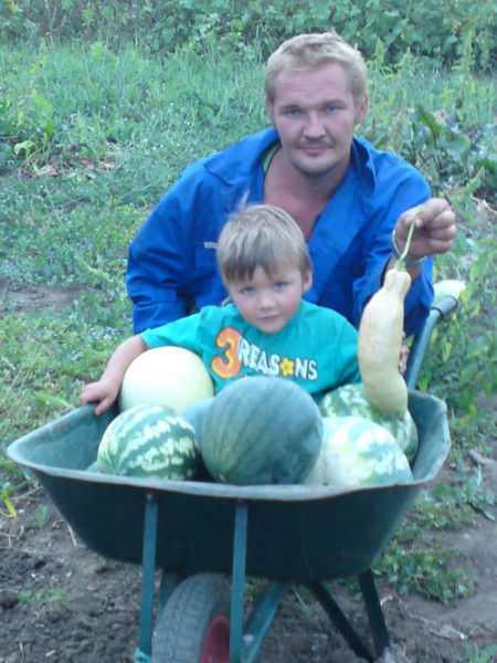 Александр Кривонос