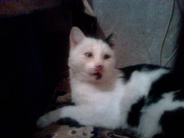 Андрей Седаков