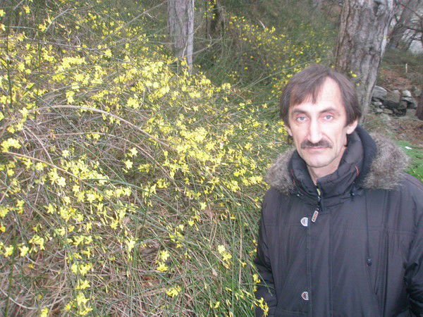 Владимир Пищенко