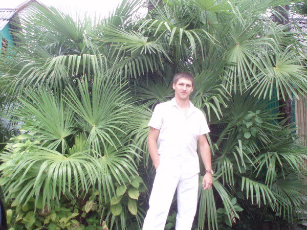 Наумов Валерий