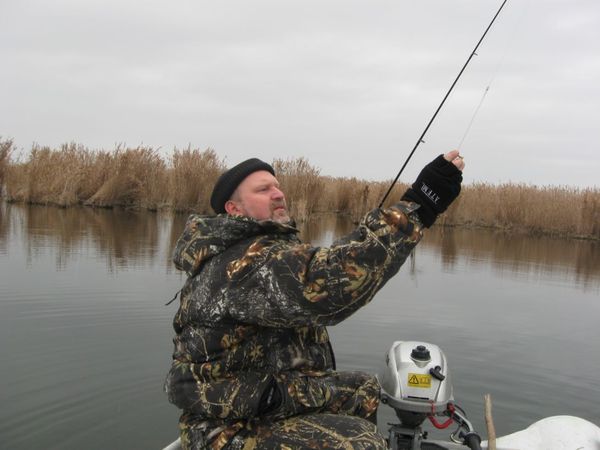 Алекс Новиков