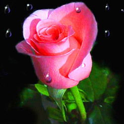 Сарбиназ Балтабаева