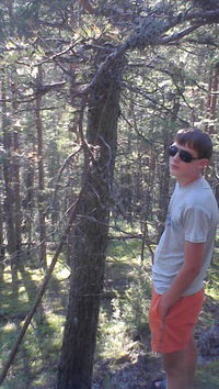 Никита Веремеенко