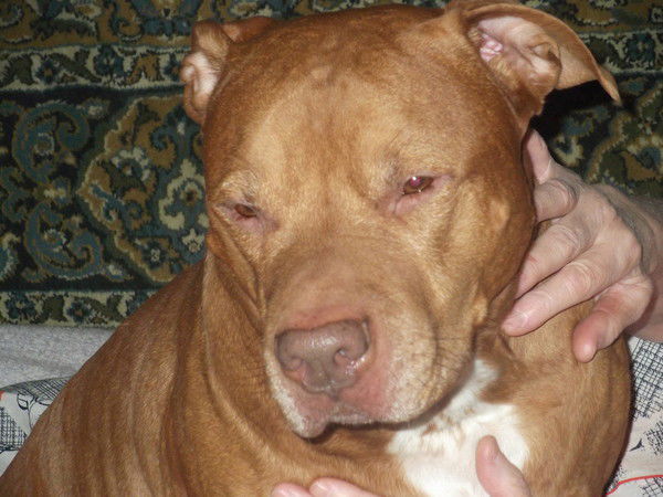 Наталья Резаненко