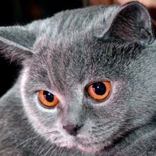 Любовь Дроздова