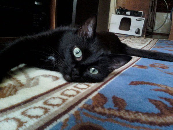 Валентин Помелов