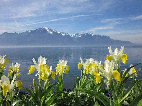 Галина Aрутюнян