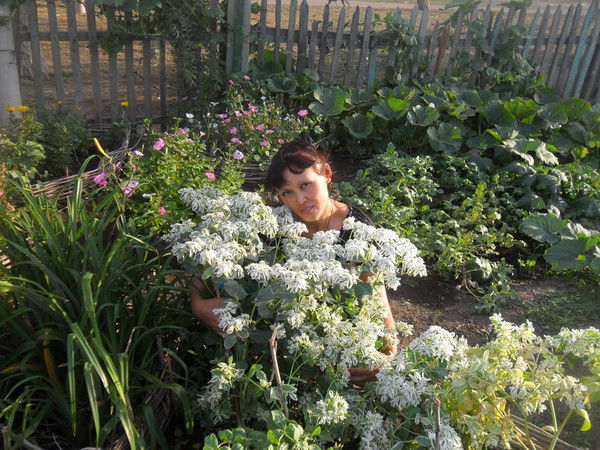 Алтын Байтубетова