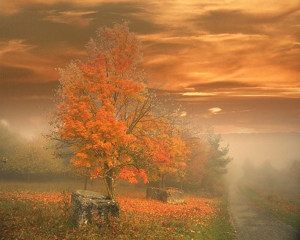 Алексей Пивкин