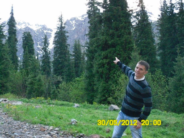 Владимир Павличенко