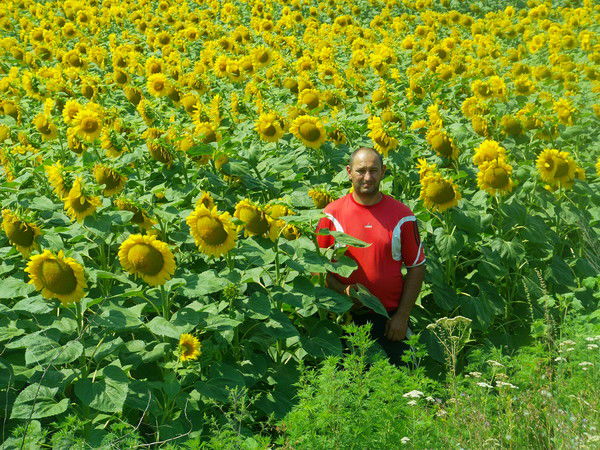 Нниколай Шевцов