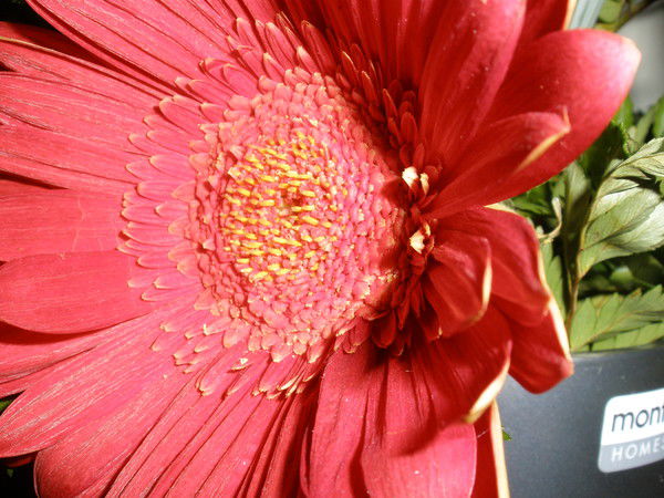 Татьяна Котлярская