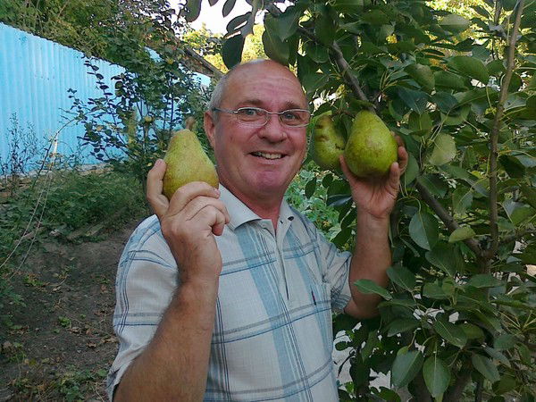 Николай Каменев