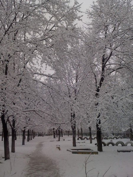 Константин Парфенов