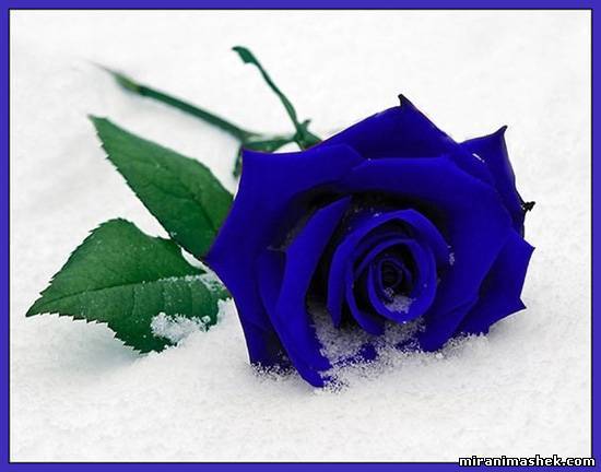 Татьяна Кузнецова