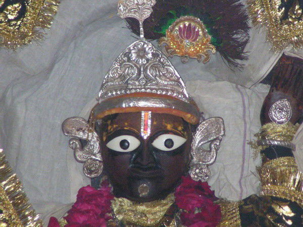 Хемагаури .