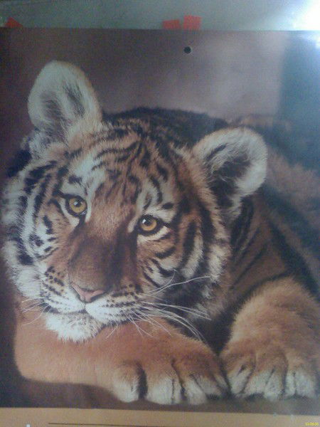 Эльдар Айсин