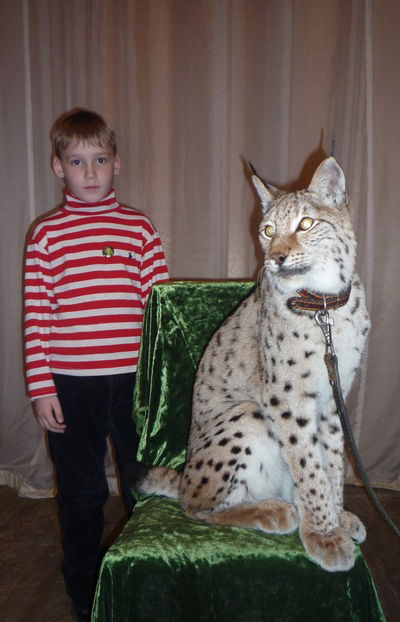 Илья Цимбаляк