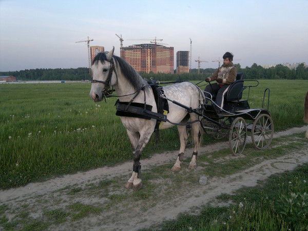 Евгения Курникова