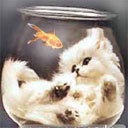 Галина Жгулева