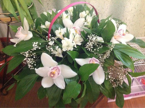 Cева Савзиханова