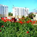 Инна Вартик