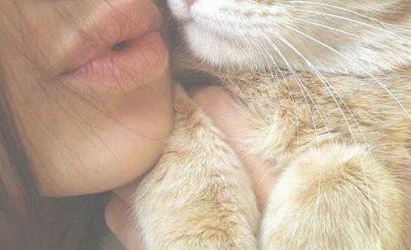 Лана Литвинова