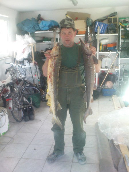 Виктор Глобов